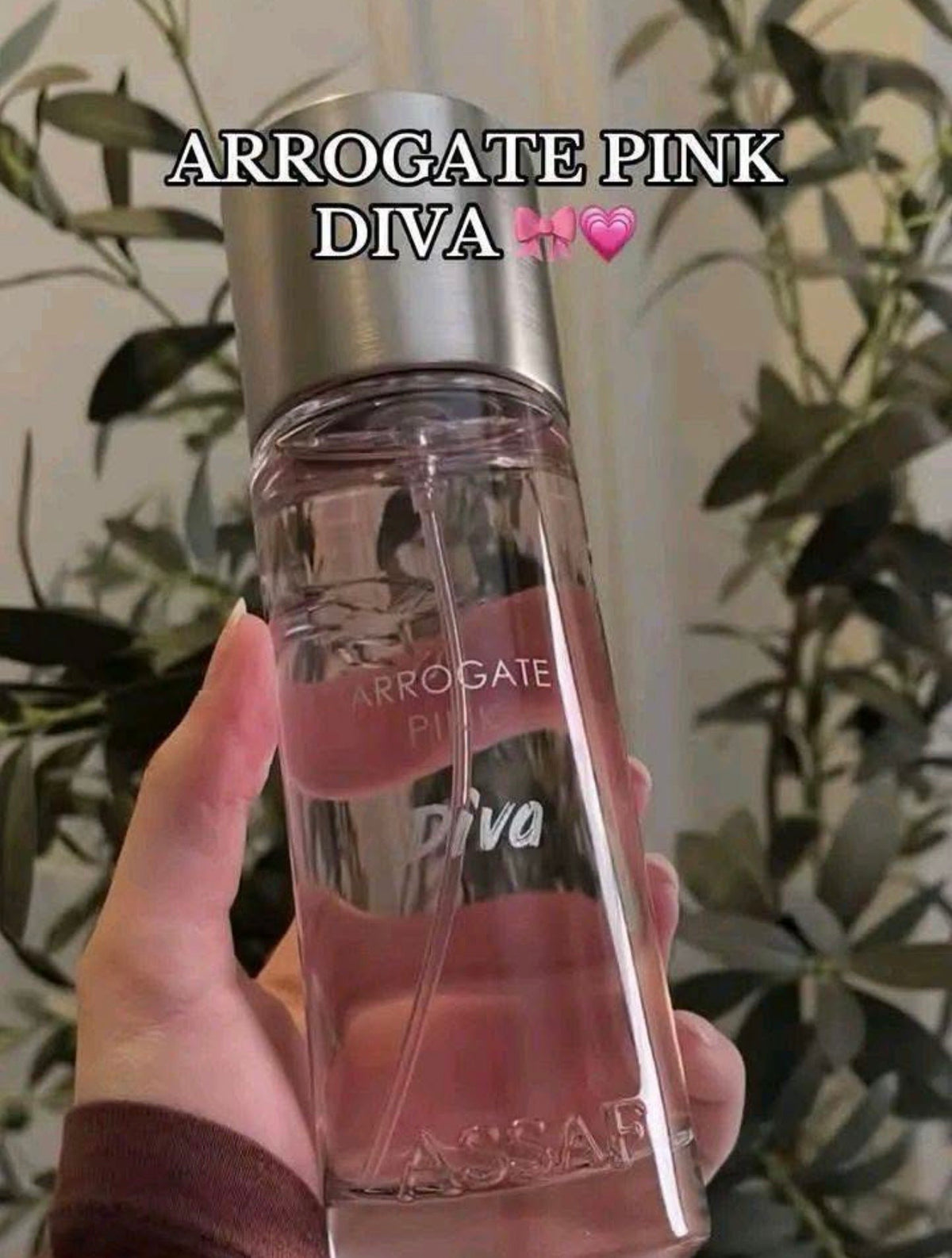 Arrogate Pink Diva Assaf /200ml
