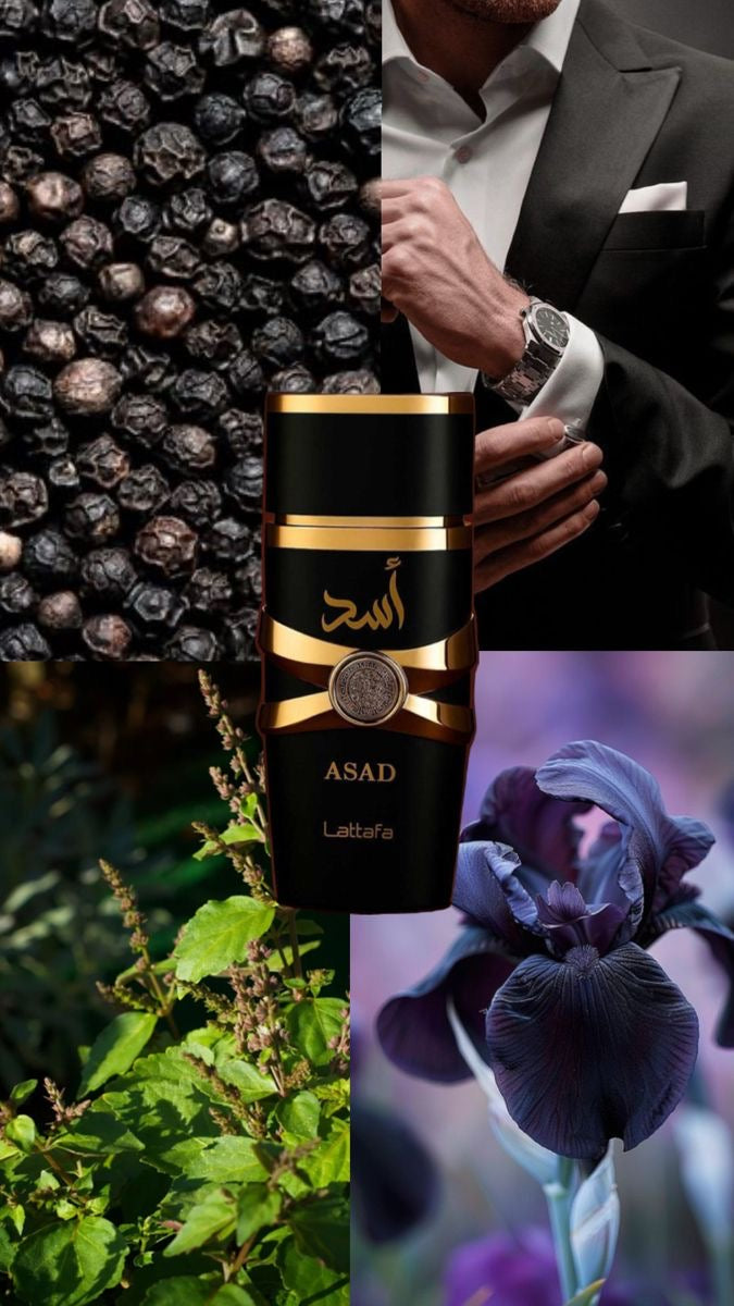 Parfum Assad 100ml